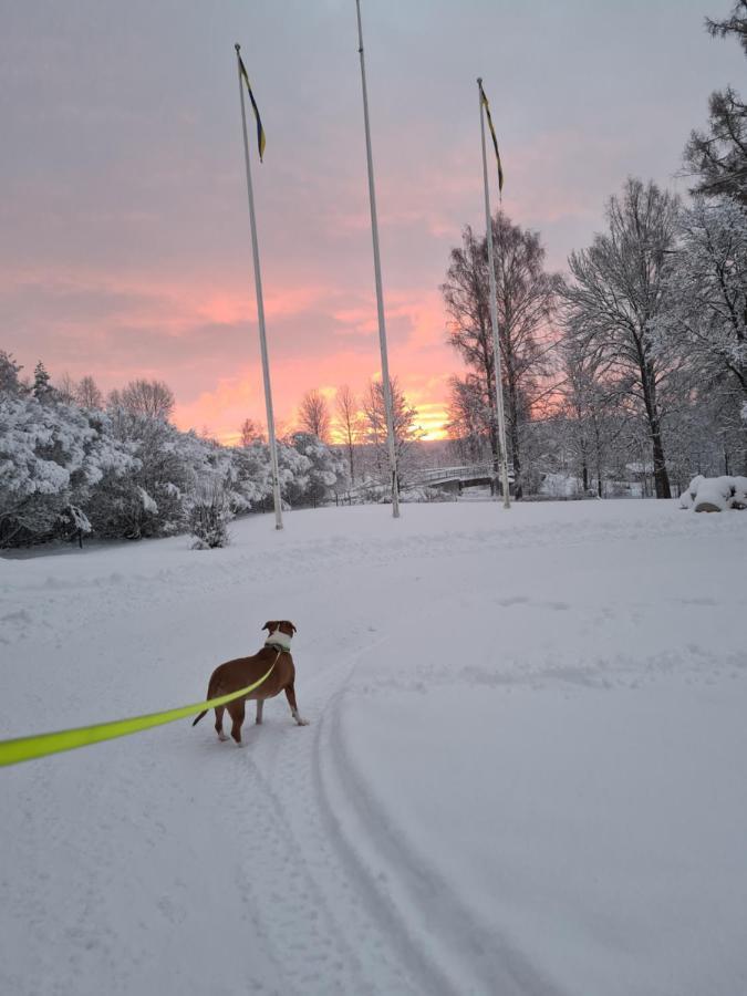 Skogsbrynet B&B, Bredsjoe Nya Herrgard Hällefors 外观 照片